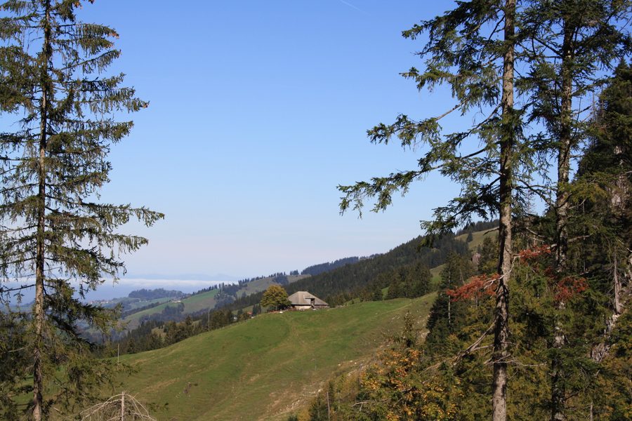 Schwarzsee in Plaffeien vor der Landschaft der Freiburger Voralpen