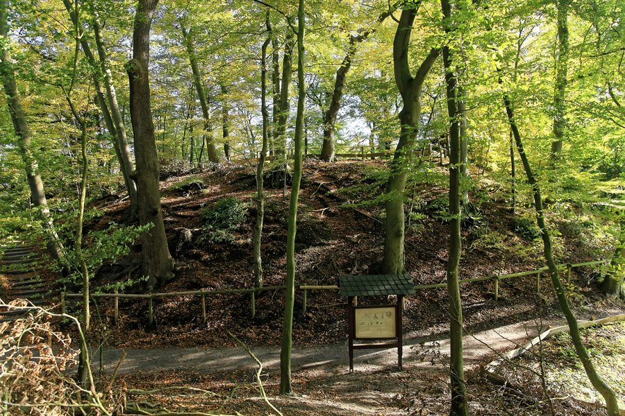 Hügel 1 der Burg Elmendorf im Naturschutzgebiet Dreibergen