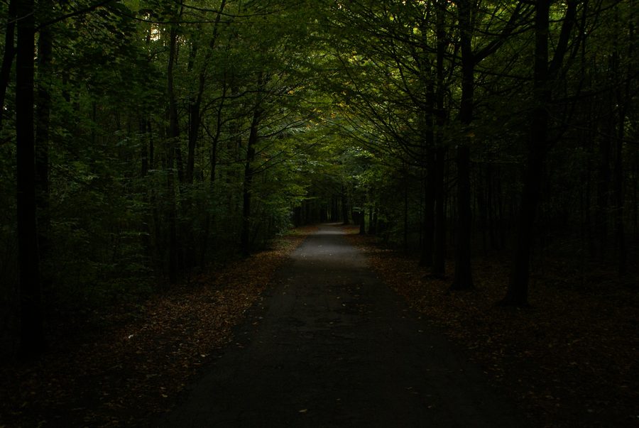 Weg durch den Park Repecki in Tarnowskie Góry