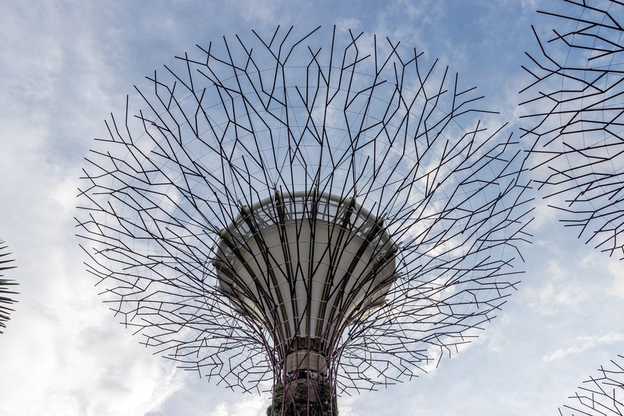 Supertrees im Gardens by the Bay in Singapur