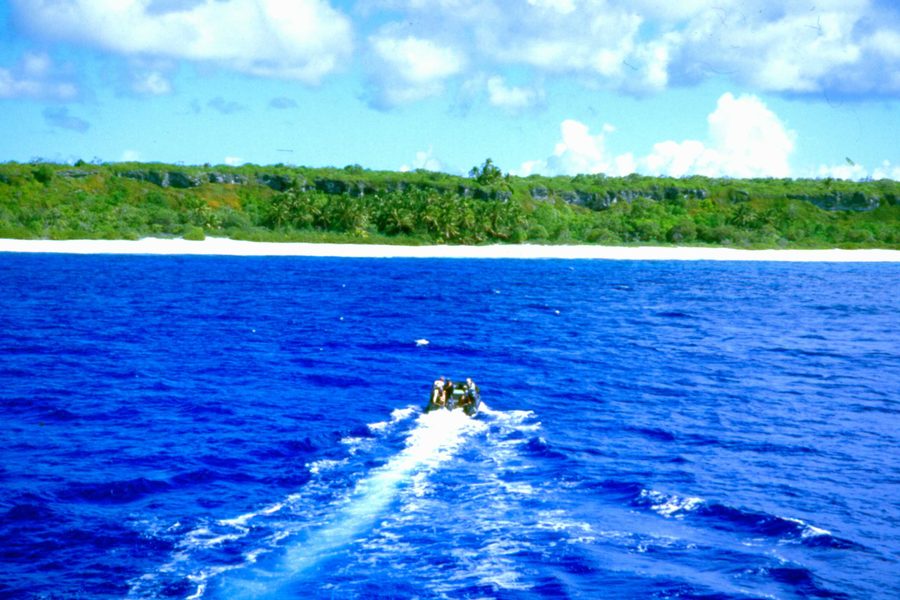 Blick vom Meer auf die zerklüftete Westküste von Henderson Island in den Pitcairninseln.