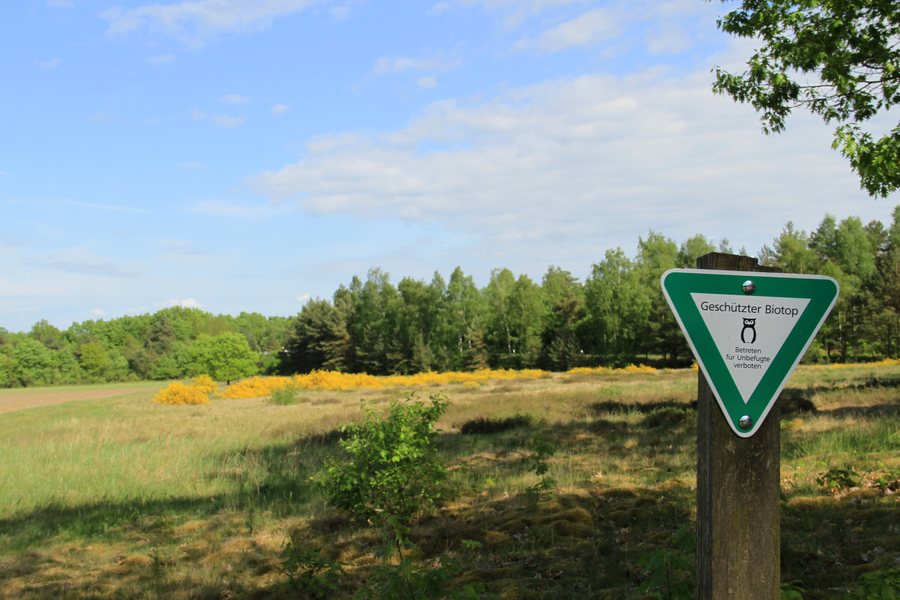 File:Niedersachsen, Bad Bodenteich, Naturdenkmal ND UE 00102 01.jpg