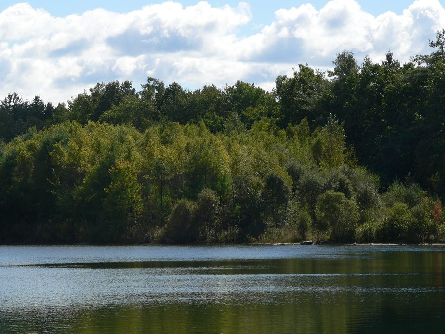 Kennedy Pond in the Nashoba Brook Wildlife Sanctuary in Westford, Massachusetts