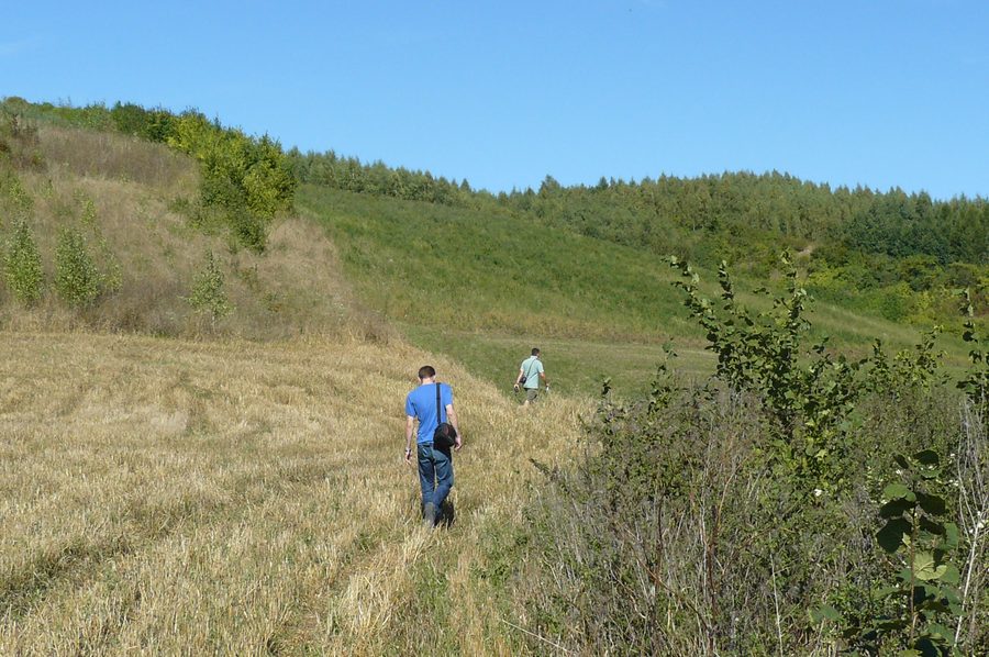 Das Noteć-Tal bei Morzewo in Polen