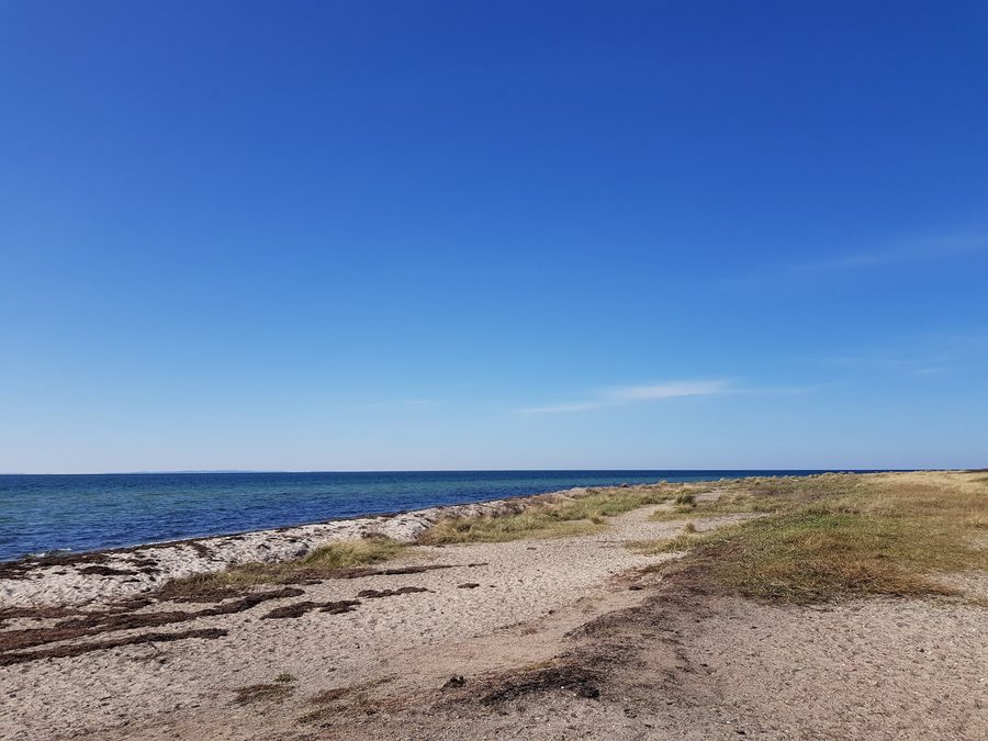 Strand auf Fehmarn im Landschaftsschutzgebiet Krummsteert-Sulsdorfer Wiek
