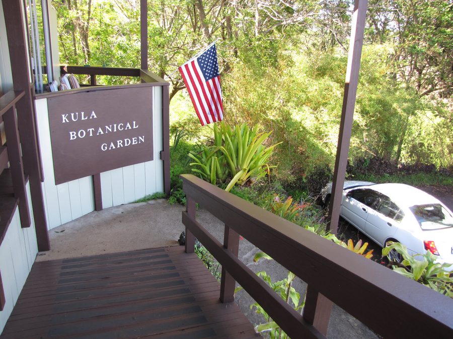 Pflanzenbestand mit Hinweisschild im Kula Botanical Garden auf Maui