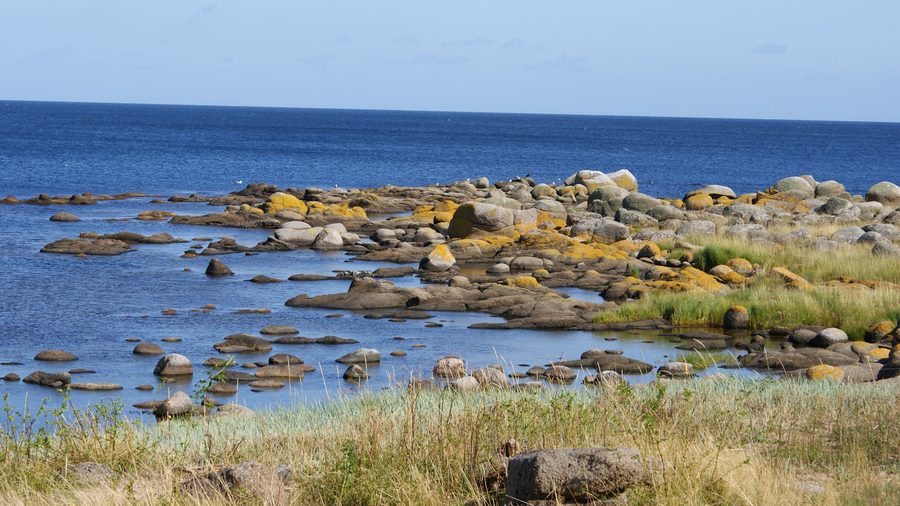 Moosbewachsene Felsen an der Küste bei Svaneke auf Bornholm Moosbewachsene Felsen an der Küste bei Svaneke auf Bornholm