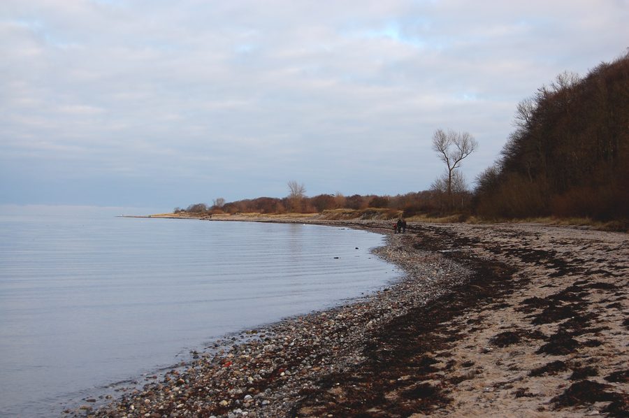 Steilküste bei Noer an der Eckernförder Bucht