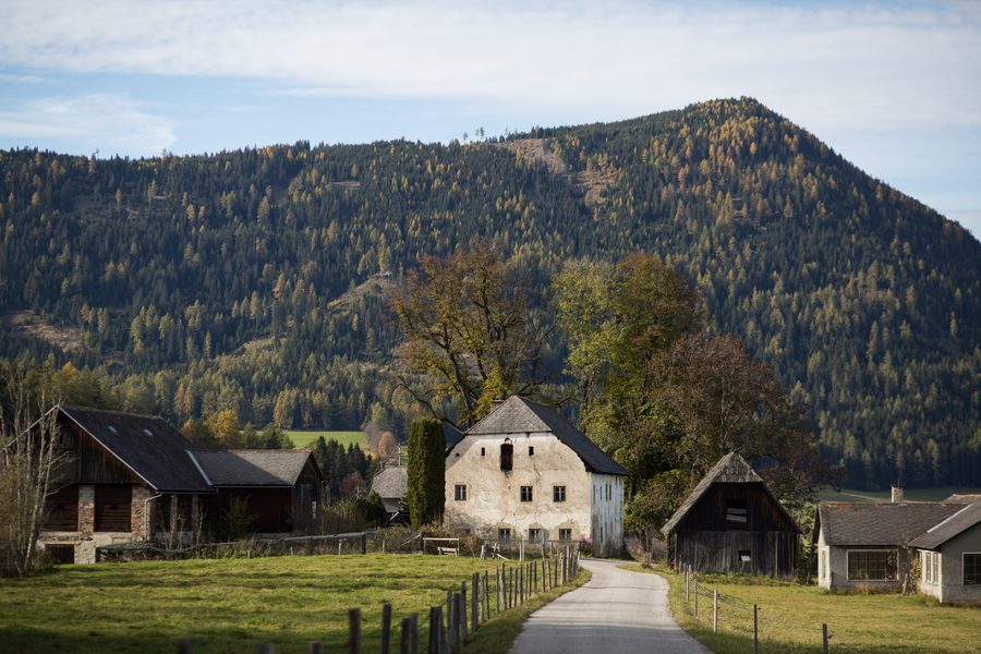 Baumgruppe bei Zeutschach, ein Naturdenkmal in der Steiermark