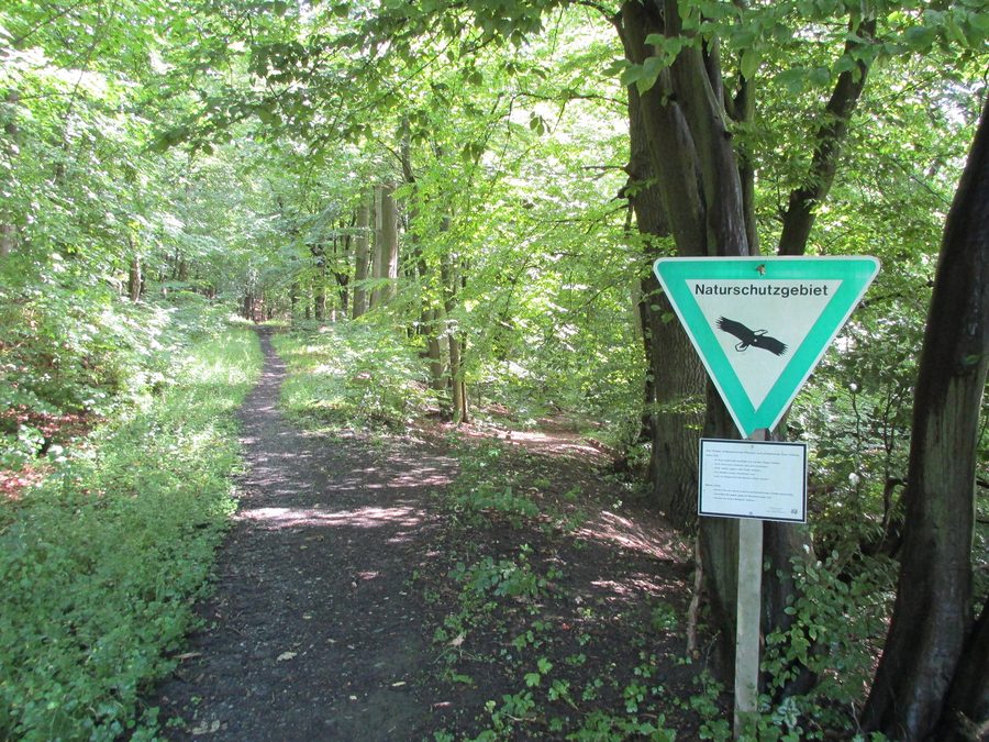 Beginn des Naturschutzgebiets Arnsberger Wald bei Niedereimer