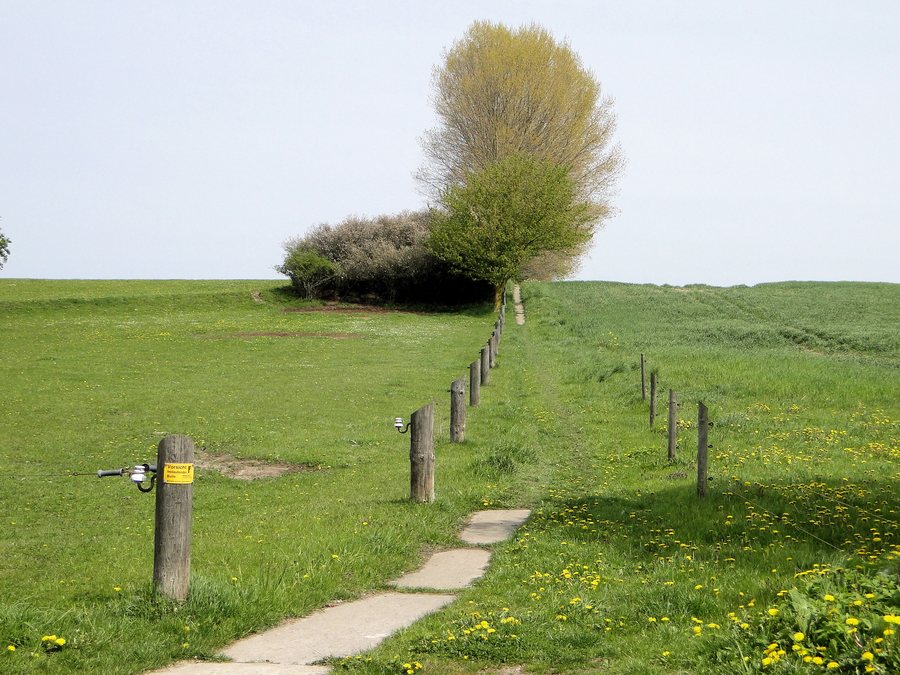 File:Wittenbeck Kuehlung Weide 2010-05-17 002.jpg