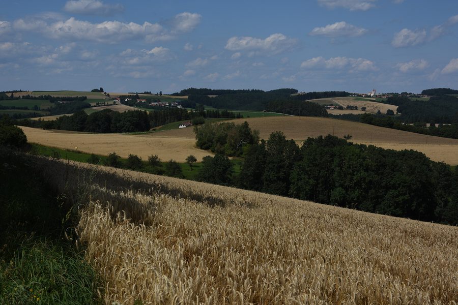 Pfarr- und Wallfahrtskirche Maria Schnee in Kaltenberg