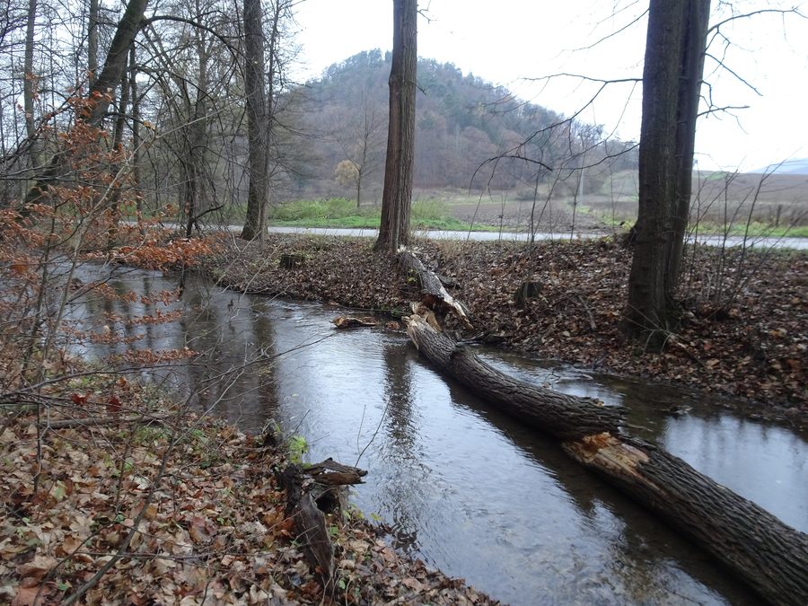 Der Bach Besének bei Lomnička in Südmähren