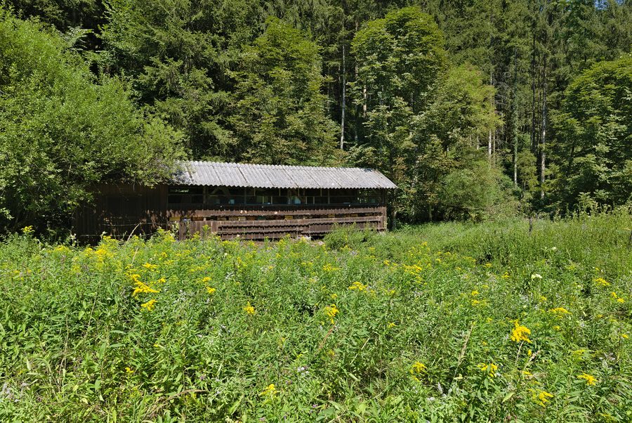 Weißenbachtal bei Reichraming in Oberösterreich