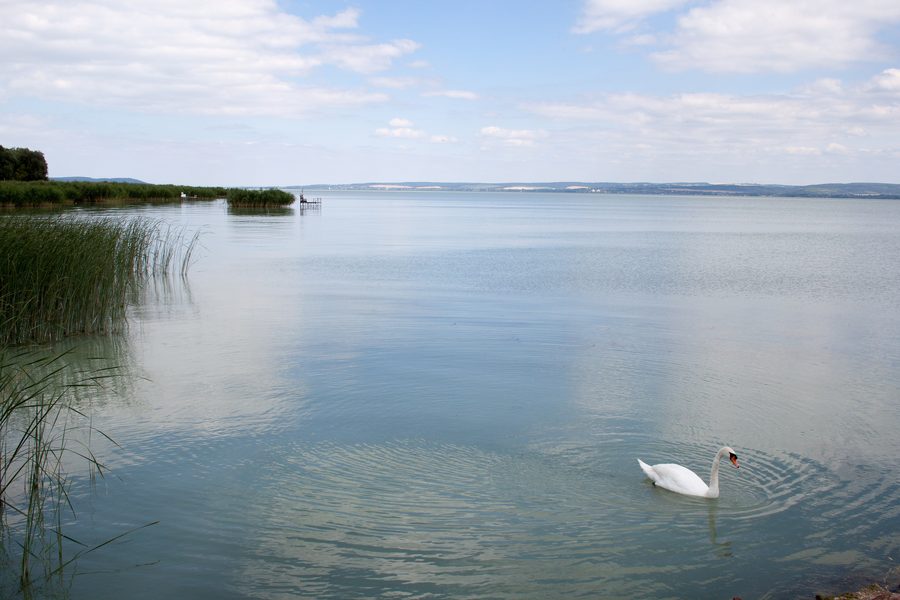 Blick vom Steg in Balatonakali über den Balaton nach Osten