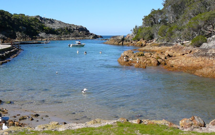 Kianinny Bay mit geschützter Bucht und Küstenlandschaft bei Tathra