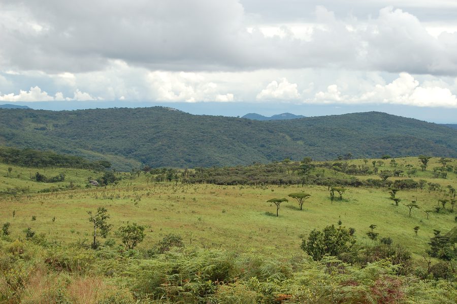 Nyika National Park in Malawi mit weiter Hochlandlandschaft