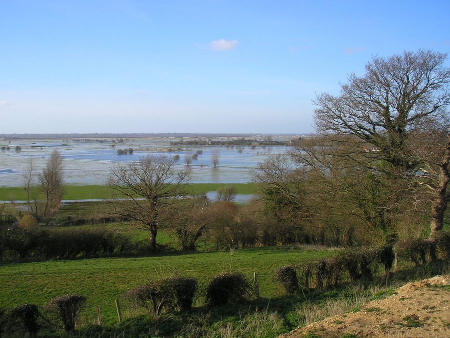 Blick auf das Marschland des Cotentin bei Graignes in der Normandie