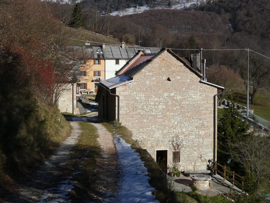 A glimpse of Merli in Bosco Chiesanuova, Veneto, Italy