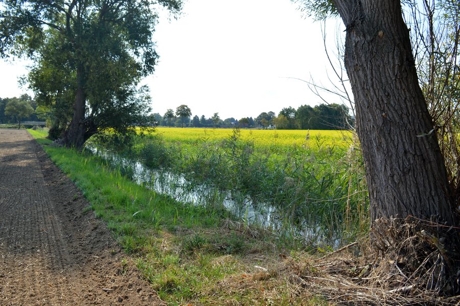 File:Landschaftsschutzgebiet Nettetal - Die Nette bei Sottrum (12).jpg