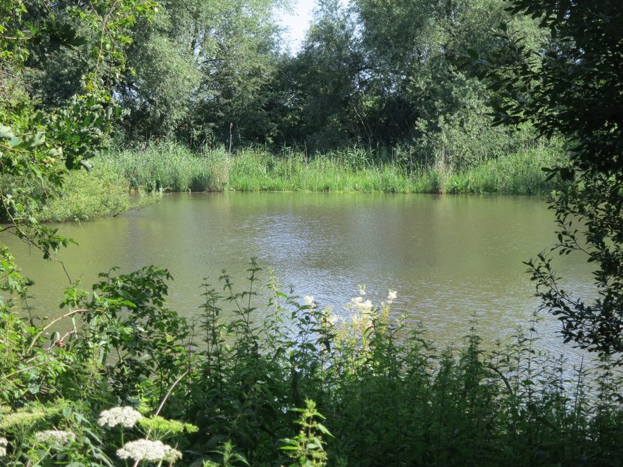 Südöstliches Ende des Kirchweyher Sees in Weyhe-Sudweyhe