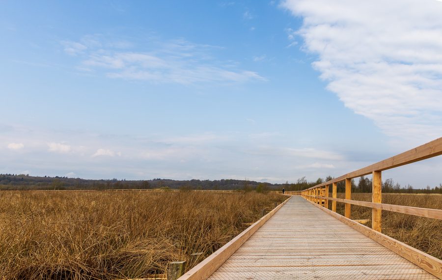 Rundweg im Naturschutzgebiet Wildes Moor bei Schwabstedt