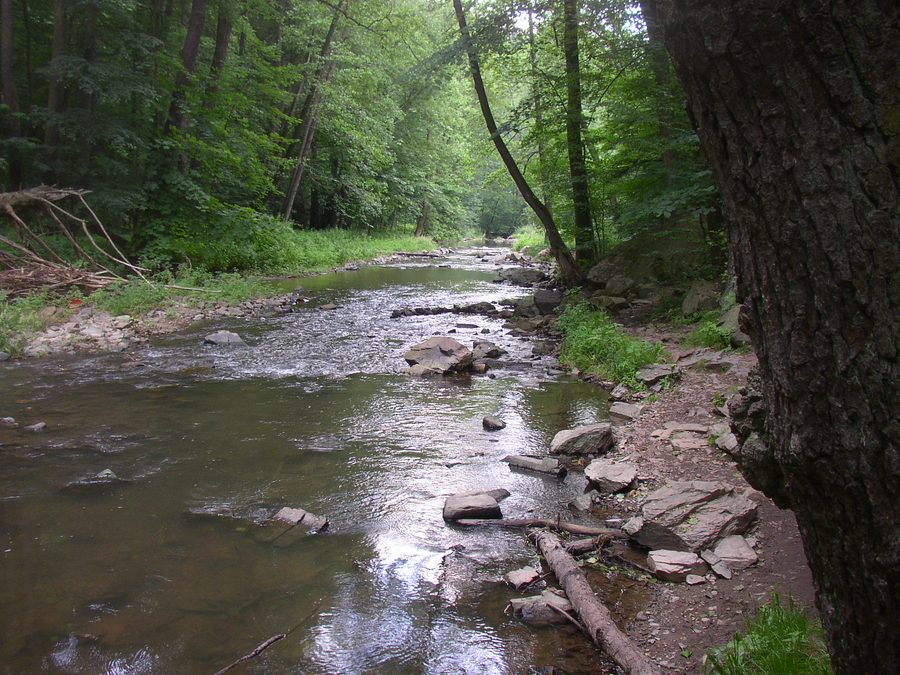 Zbirožský potok unterhalb der Skryjská jezírka im Naturreservat Jezírka