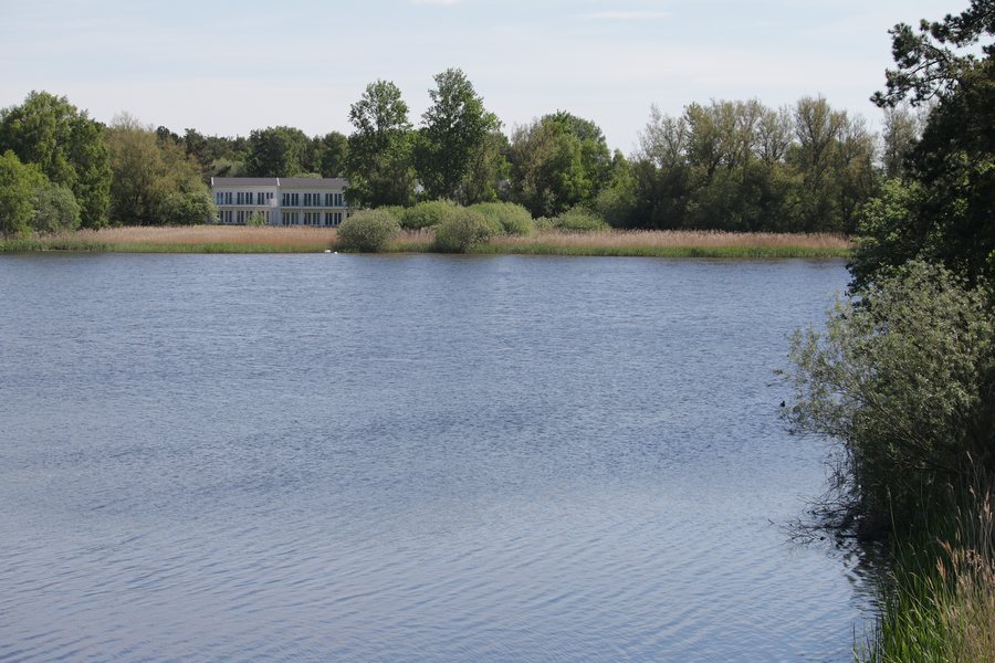 File:Lomma kommun - Kustdammarnas naturreservat - 2026-05-31 12-50-35 001.jpeg