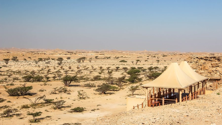 Weihrauchlandschaft im Wadi Dawkah in Dhofar, Oman