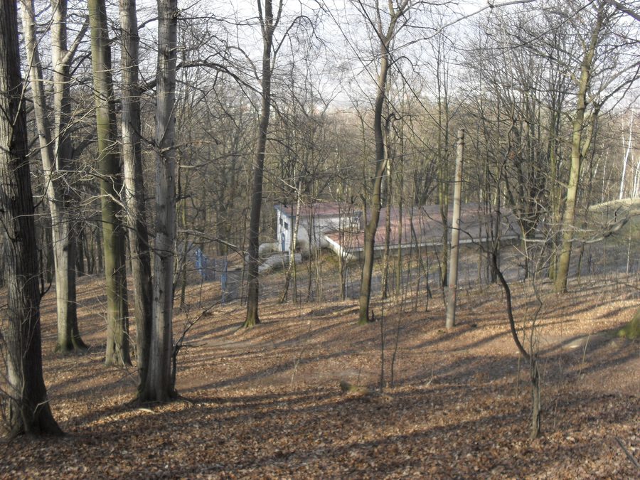 Ruine der Burg Doubravská hora bei Teplice