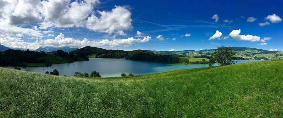 Landschaft am Lac de la Gruyère mit See, Ufer und Alpen