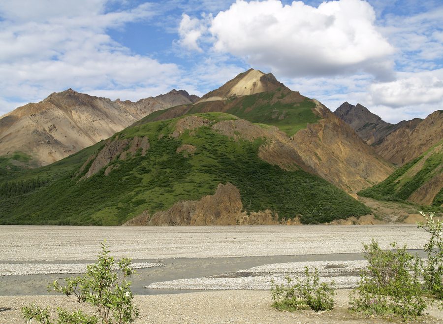 Blick auf den Toklat River und Berge im Denali-Nationalpark in Alaska.
