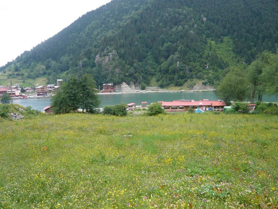 Uzungöl mit bewaldeten Berghängen in der Umgebung von Çaykara