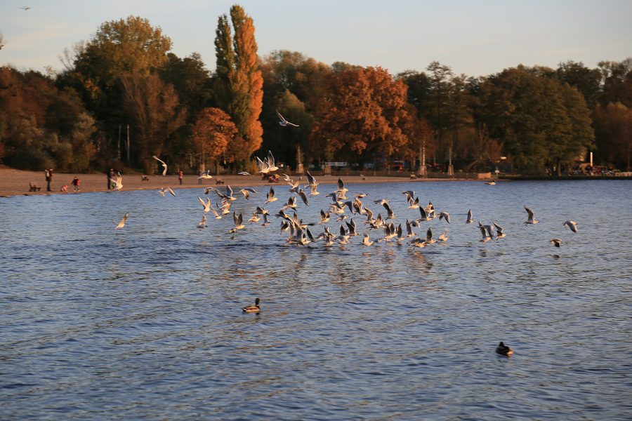 Strandbad Müggelsee in Berlin-Rahnsdorf mit Blick über den Badestrand