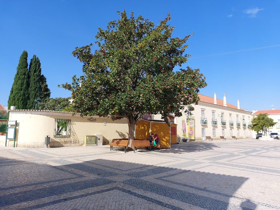 Antigo Palácio de D. Miguel em Samora Correia