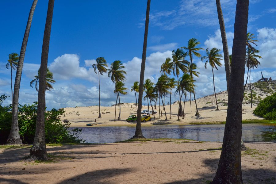 Kokospalmen am Rio Punaú zwischen Dünen und Küste