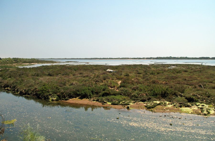 Ria Formosa mit Lagunenlandschaft an der Algarve