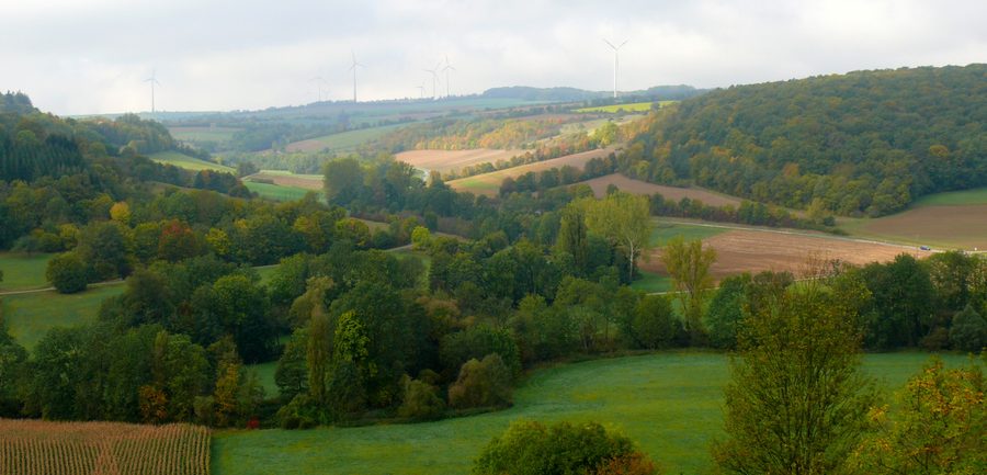 Blick über das Taubertal oberhalb von Creglingen