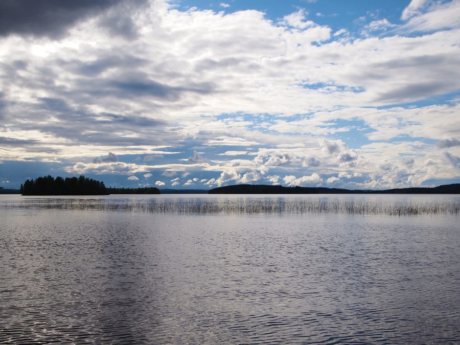 Blick auf den Muuratjärvi bei Muurame mit bewaldetem Ufer