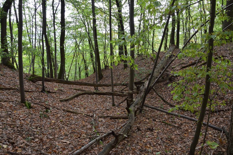 Graben eines Burgstalls am Karstwanderweg im Alten Stolberg
