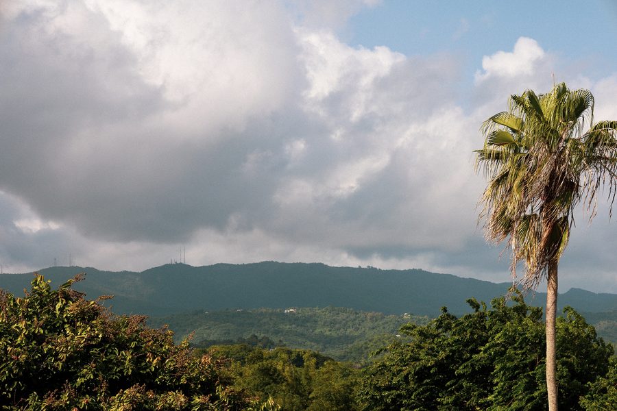 Blick auf den Monte del Estado im Maricao State Forest von San Germán aus