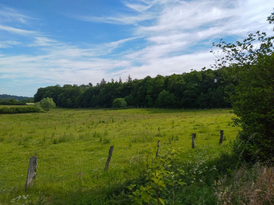 Waldlandschaft im FFH-Teilgebiet Schierenskroog der Hüttener Berge