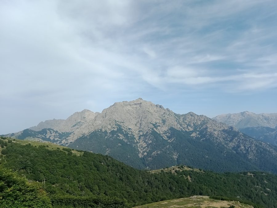 Monte d’Oro bei Vivario von der Bocca Palmente aus gesehen
