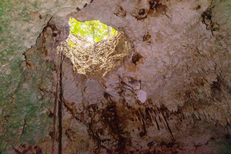 Cenote Dos Ojos auf Yucatán in Mexiko
