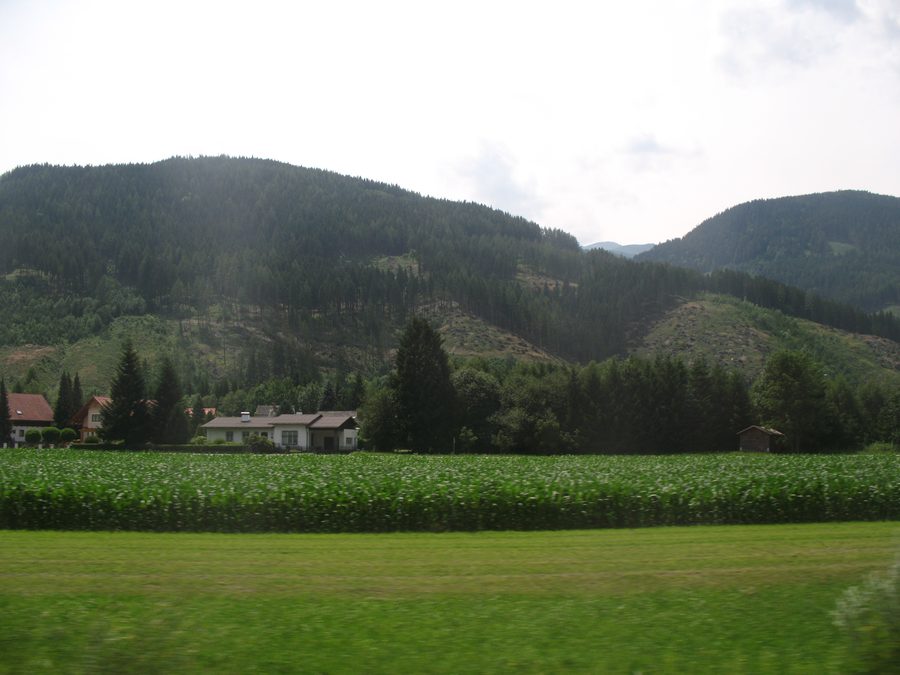 Ansicht von Trieben in Österreich