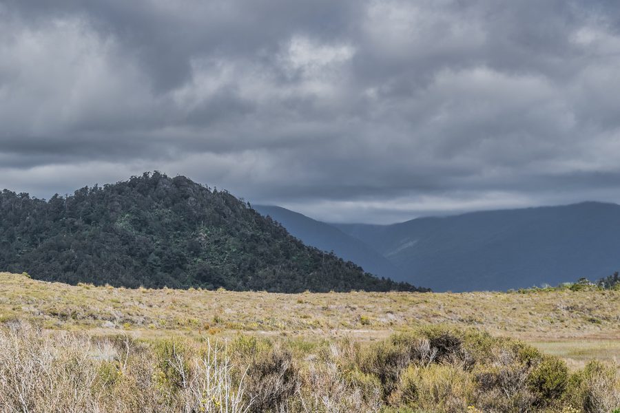 Landscape in Paparoa National Park on New Zealand’s South Island