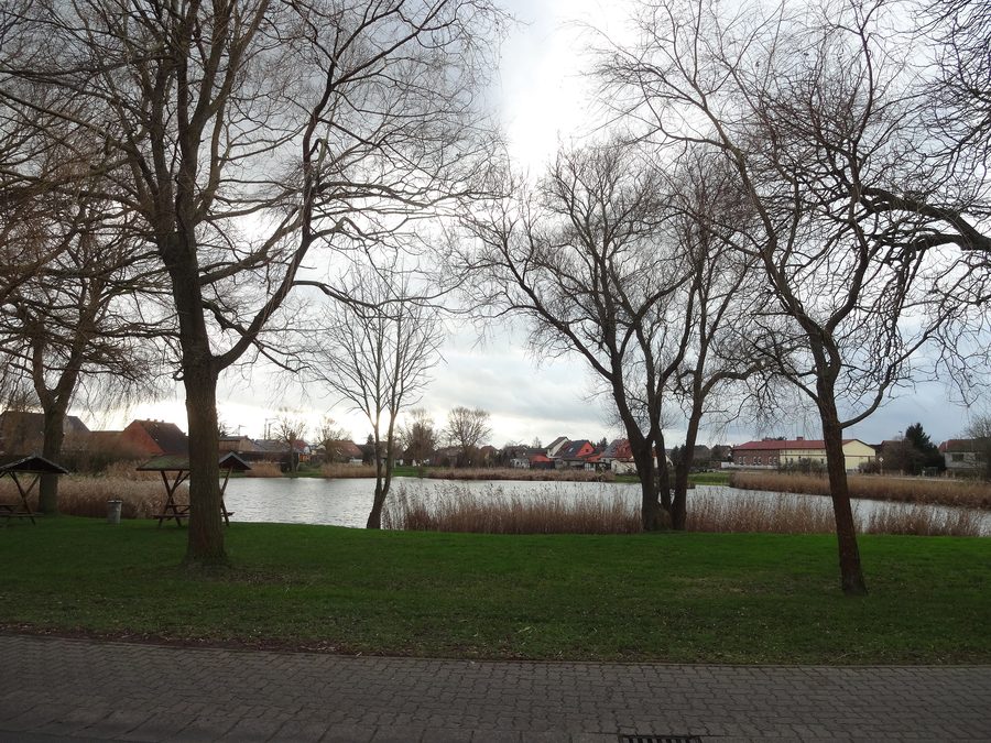 Dorfteich in Rollwitz im Landkreis Vorpommern-Greifswald