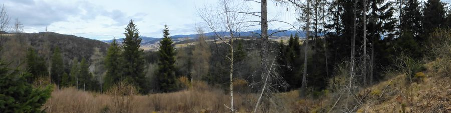 Blick von der Ruine Hohenwart über die Landschaft bei Mühlen und die Grebenzen