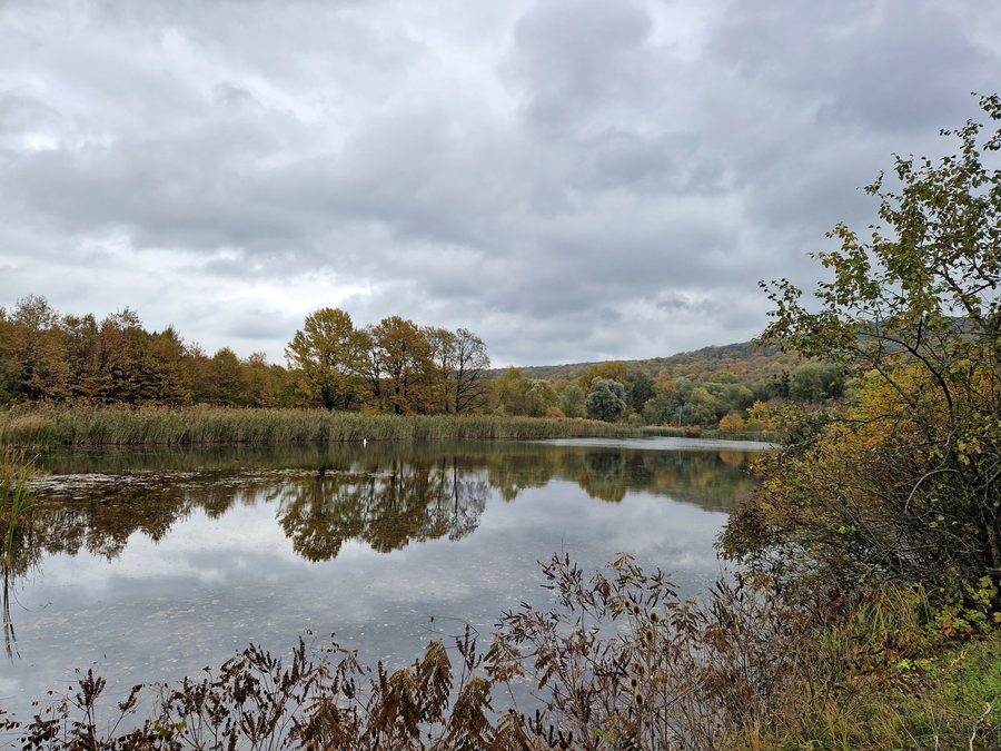 Landschaft im wissenschaftlichen Schutzgebiet Plaiul Fagului in Moldau