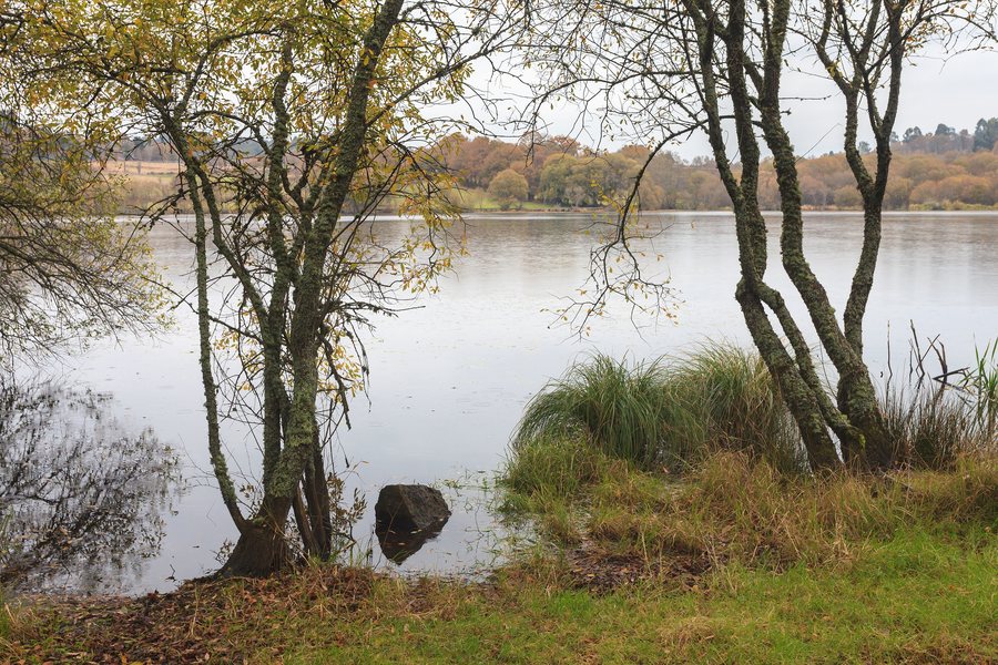 File:2017 Lagoa de Sobrado. Galiza-3.jpg